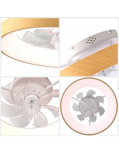 Oaks Aura 20" Smart RGB Ceiling Fan...