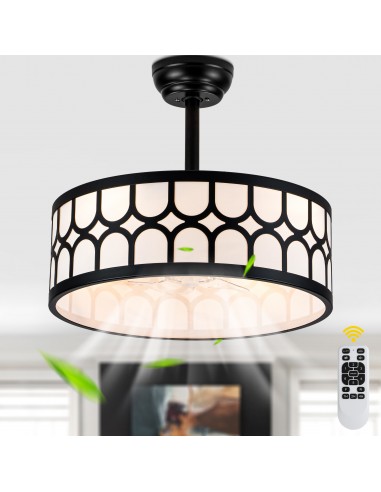 20" Modern Black Caged Ceiling Fan...