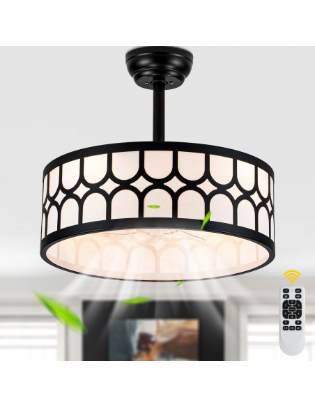 20" Modern Black Caged Ceiling Fan with Lights, Remote & APP Control, 6-Speed Reversible DC Motor for Living Room, Bedroom