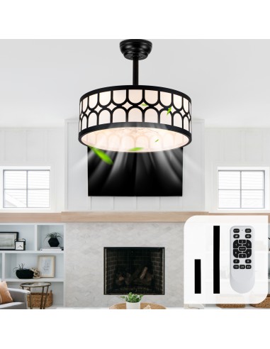 20" Modern Black Caged Ceiling Fan...