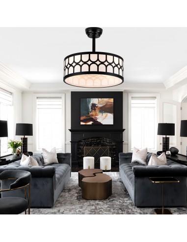 20" Modern Black Caged Ceiling Fan...