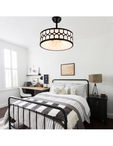 20" Modern Black Caged Ceiling Fan...