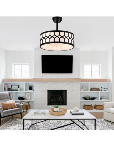 20" Modern Black Caged Ceiling Fan...