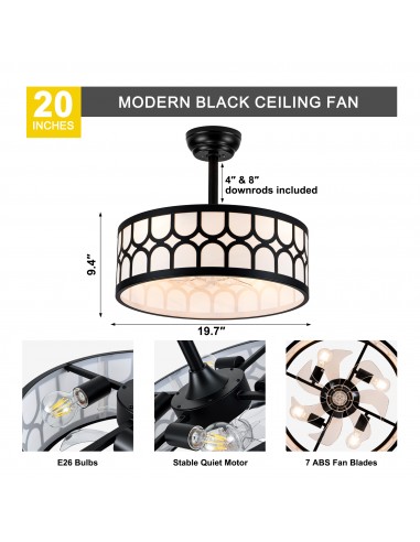 20" Modern Black Caged Ceiling Fan...