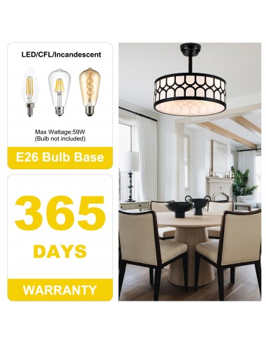 20" Modern Black Caged Ceiling Fan...