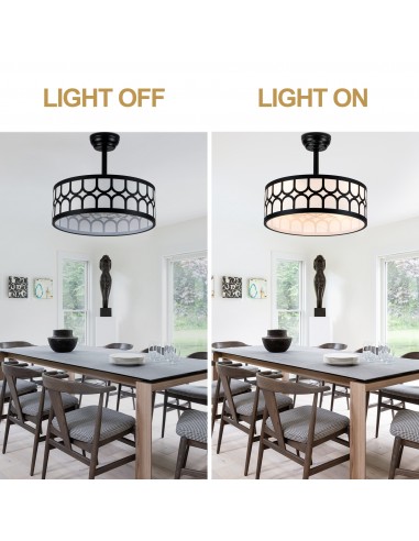 20" Modern Black Caged Ceiling Fan...