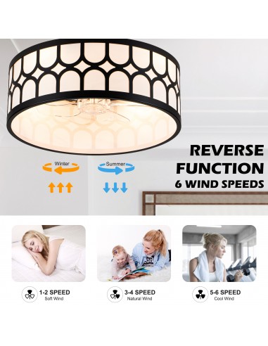 20" Modern Black Caged Ceiling Fan...