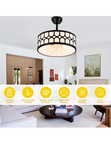 20" Modern Black Caged Ceiling Fan...