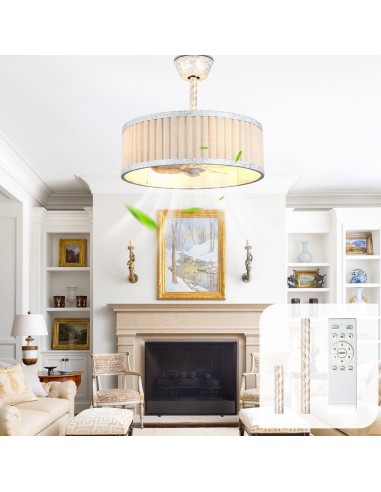 20" Farmhouse Caged Ceiling Fan with...