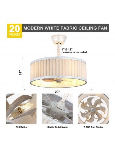 20" Farmhouse Caged Ceiling Fan with...