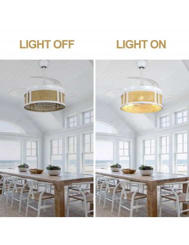 Oaks Aura 42" Retractable Boho...