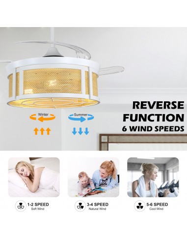 Oaks Aura 42" Retractable Boho...