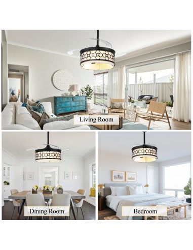 Oaks Aura 42" Black Ceiling Fan with...