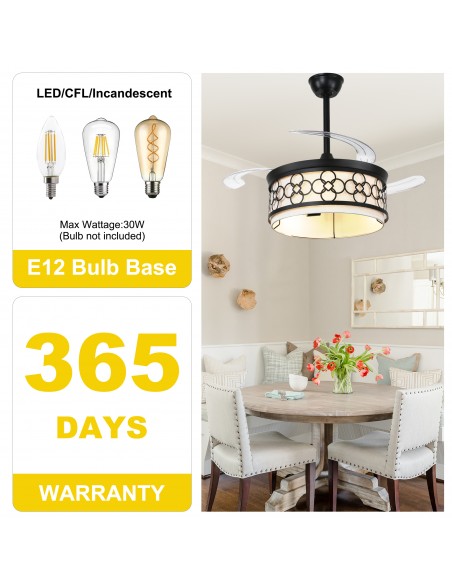 Oaks Aura 42" Black Ceiling Fan with Light and Remote