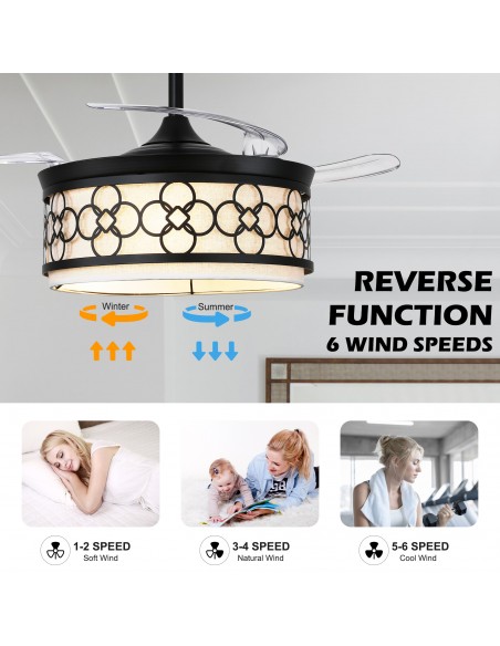 Oaks Aura 42" Black Ceiling Fan with Light and Remote