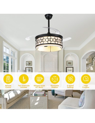 Oaks Aura 42" Black Ceiling Fan with...