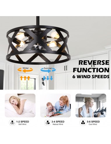 20” Black Drum Ceiling Fan with...