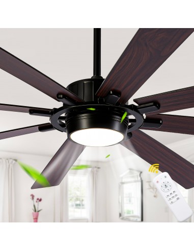72" Black Ceiling Fan with Lights and...
