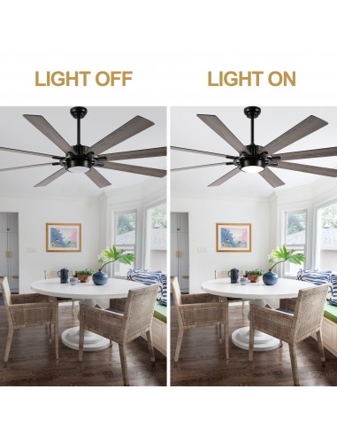 72" Black Ceiling Fan with Lights and...