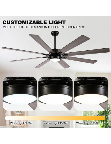 72" Black Ceiling Fan with Lights and...