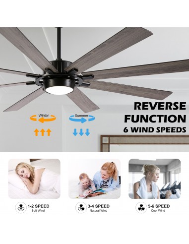 72" Black Ceiling Fan with Lights and...