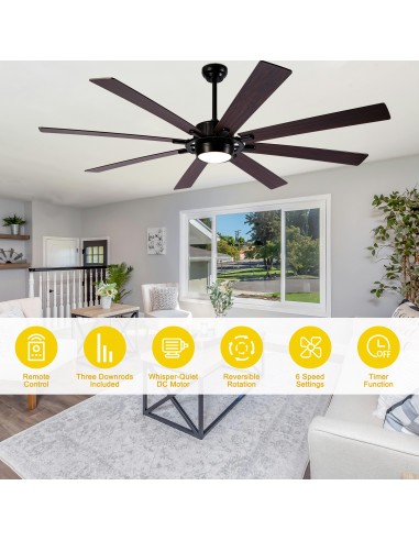 72" Black Ceiling Fan with Lights and...