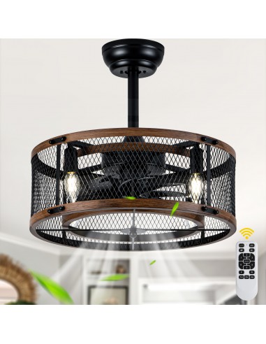 20" Industrial Matte Black Caged...