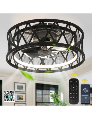 Oaks Aura 19" Black Caged...
