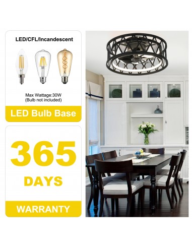Oaks Aura 19" Black Caged Flush Mount...