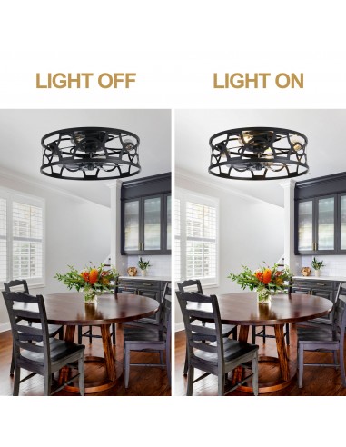 Oaks Aura 20" Caged Flush Mount...