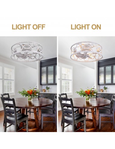 Oaks Aura 20" Caged Flush Mount...