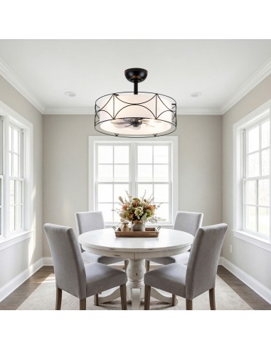 Oaks Aura 20" Modern Ceiling Fan with...