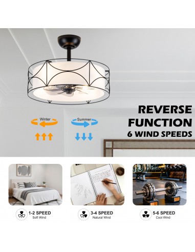 Oaks Aura 20" Modern Ceiling Fan with...