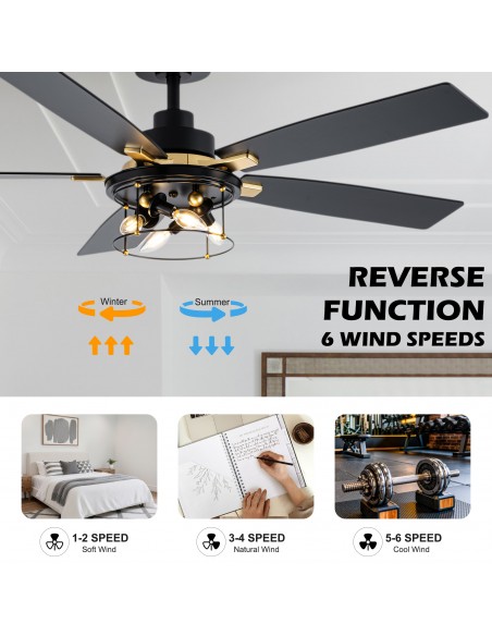 Oaks Aura 52" 5-Blade Industrial Caged Ceiling Fan with Lights and Remote, 6 Speeds Reversible Chandelier Fan for Living Room