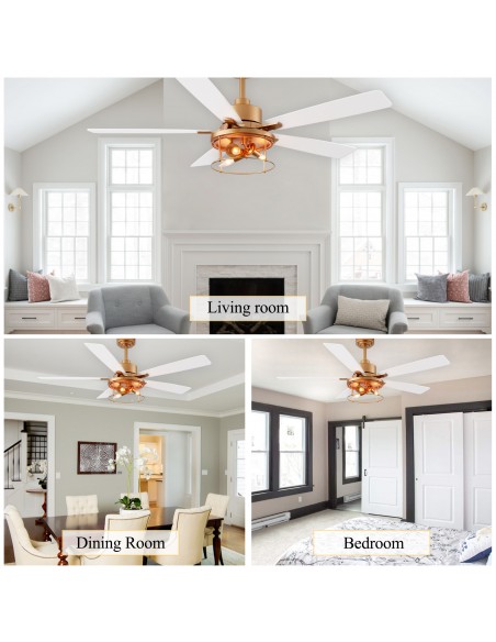 Oaks Aura 52" 5-Blade Industrial Caged Ceiling Fan with Lights and Remote, 6 Speeds Reversible Chandelier Fan for Living Room