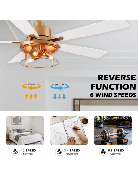 Oaks Aura 52" 5-Blade Industrial Caged Ceiling Fan with Lights and Remote, 6 Speeds Reversible Chandelier Fan for Living Room