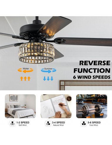Oaks Aura 52" Black Crystal Ceiling...