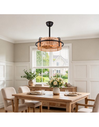 Oaks Aura 20" Boho Caged Ceiling Fan...