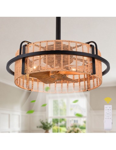 Oaks Aura 20" Boho Caged Ceiling Fan...