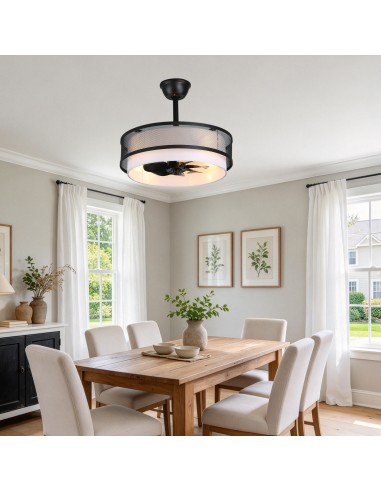 Oaks Aura 20" Boho Caged Ceiling Fan...