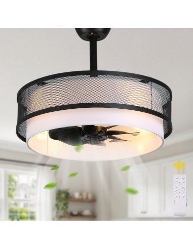 Oaks Aura 20" Boho Caged Ceiling Fan...