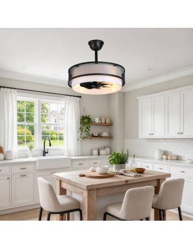 Oaks Aura 20" Boho Caged Ceiling Fan...