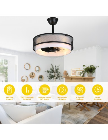 Oaks Aura 20" Boho Caged Ceiling Fan...