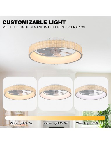 Oaks Aura 20" Boho Woven Flush Mount...